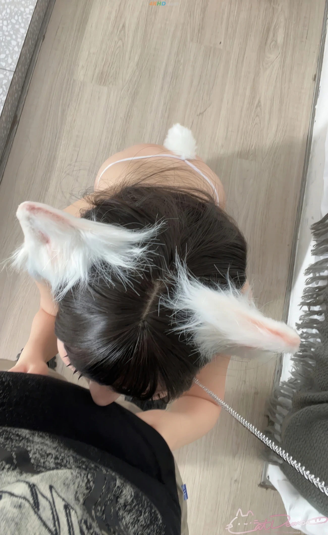 Cat DemonMiaoZai MaoErNiangnoRuoDian — photo 2