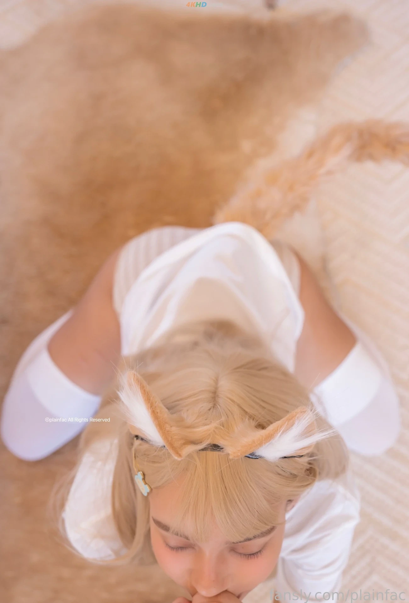 Chippy - Kinako — photo 30
