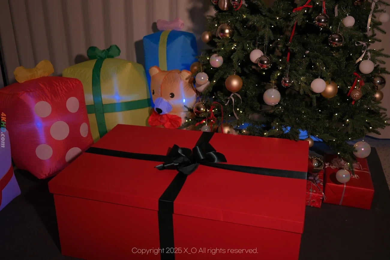 Son Ye Eun (SonYeEun) Les Christmas — photo 1