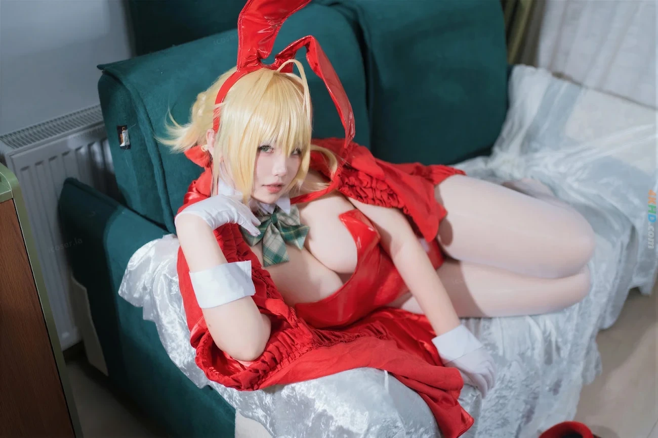 ABanJinTianHenKaiXin FGO NiLuShengDanJie — photo 5