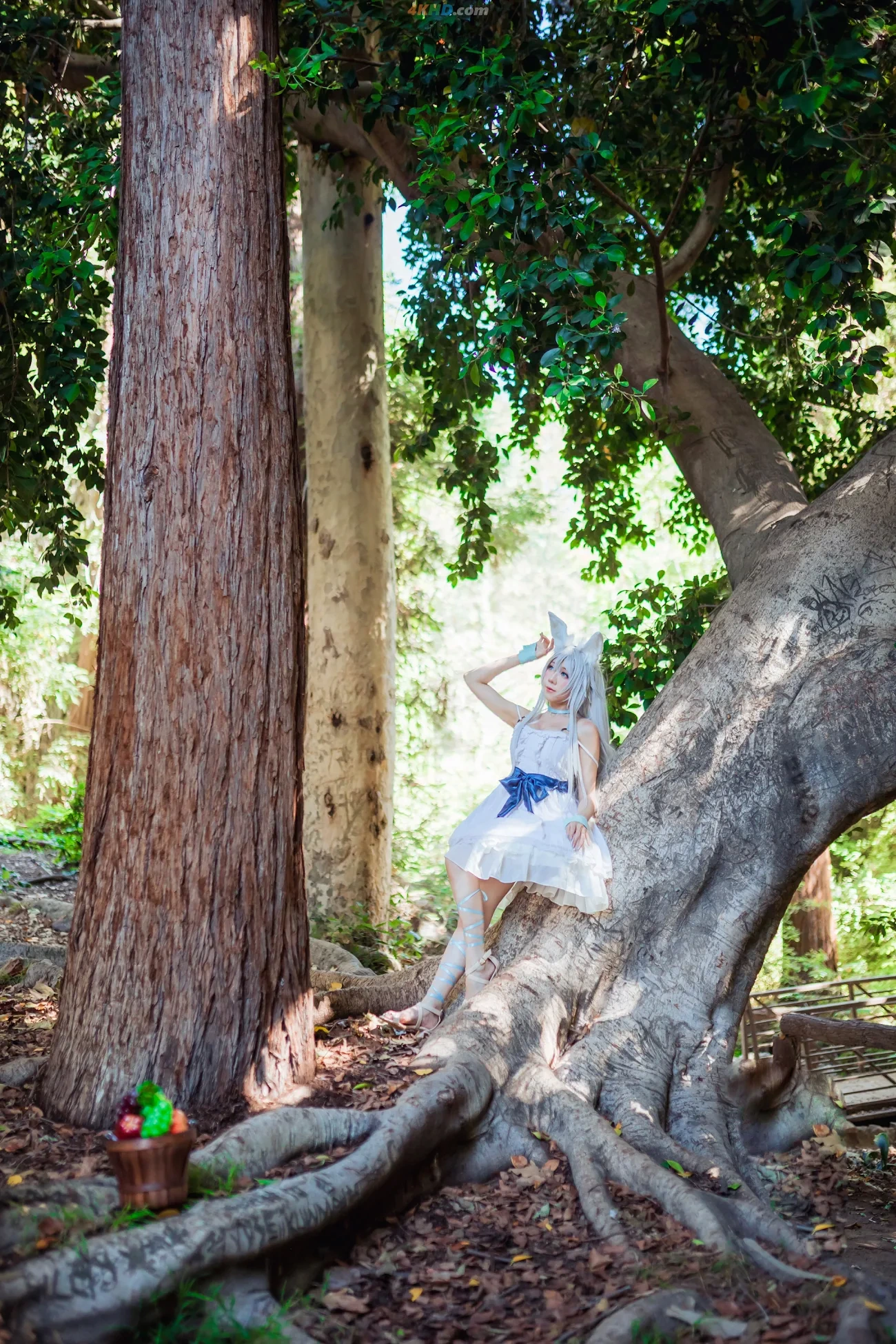 Usagi Christy - Fenrys — photo 14