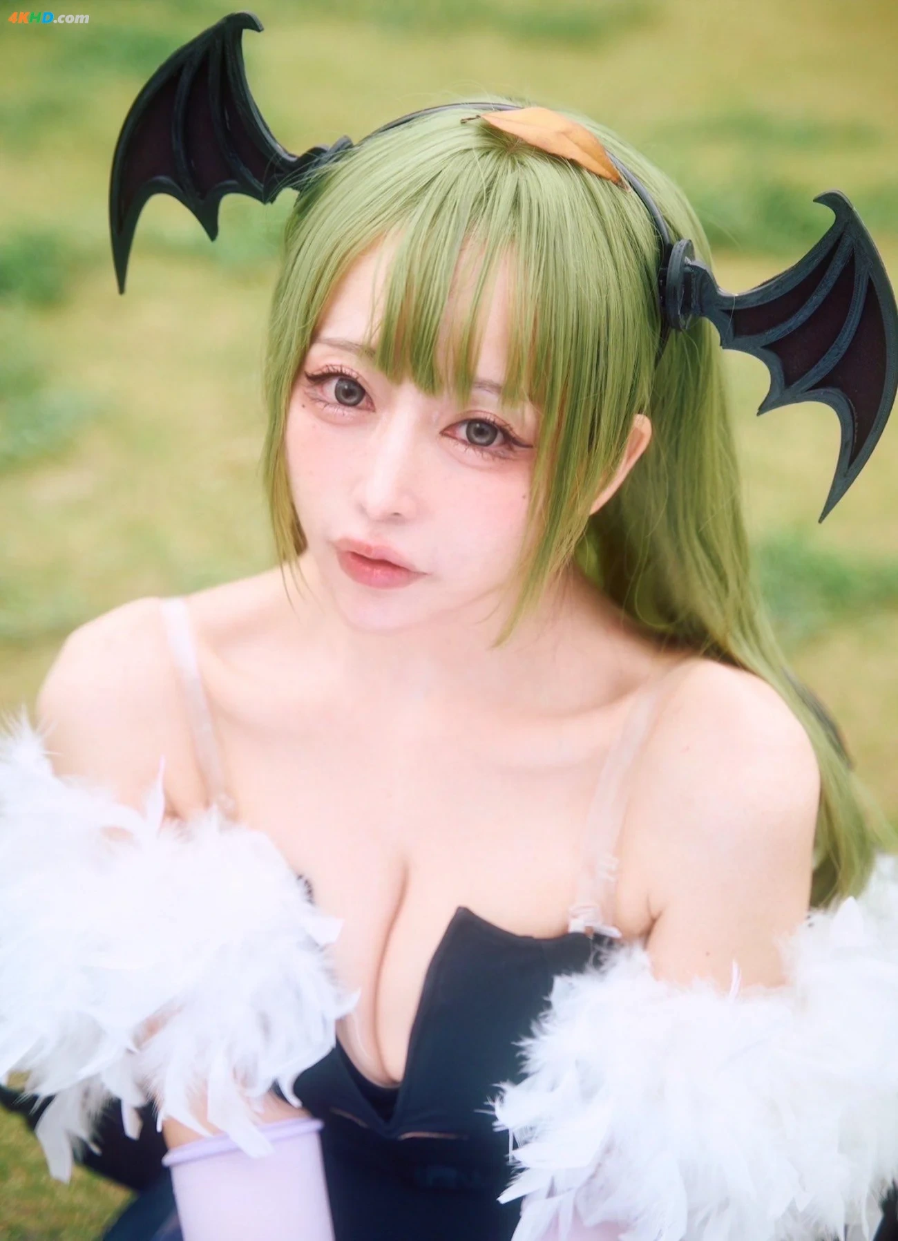 Kaga Misuo - Morrigan — photo 21
