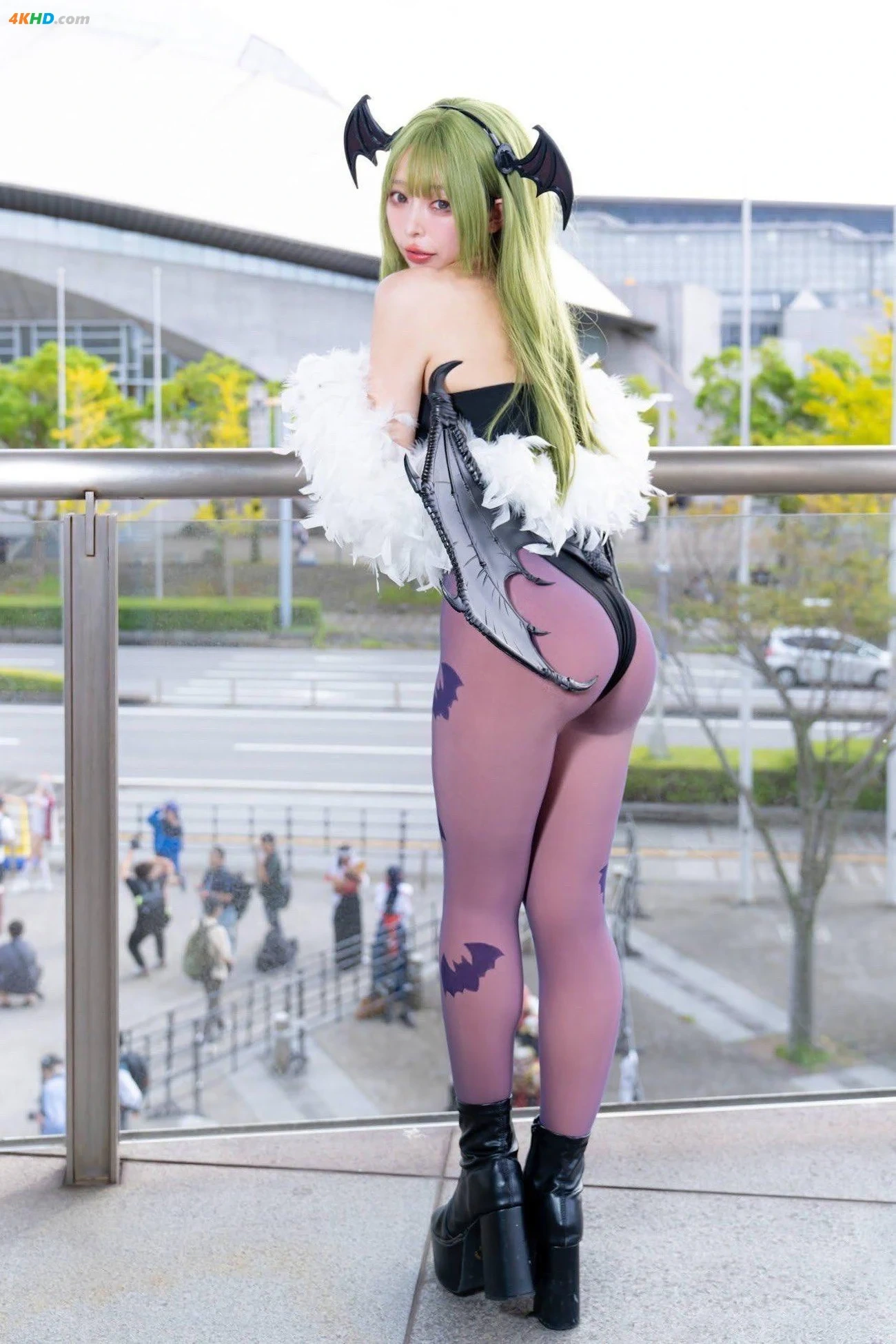 Kaga Misuo - Morrigan — photo 22