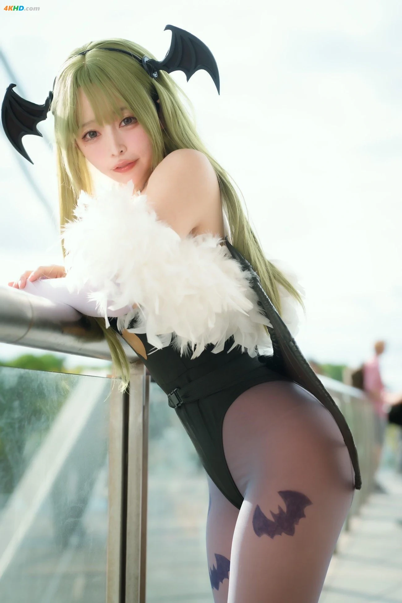 Kaga Misuo - Morrigan — photo 25