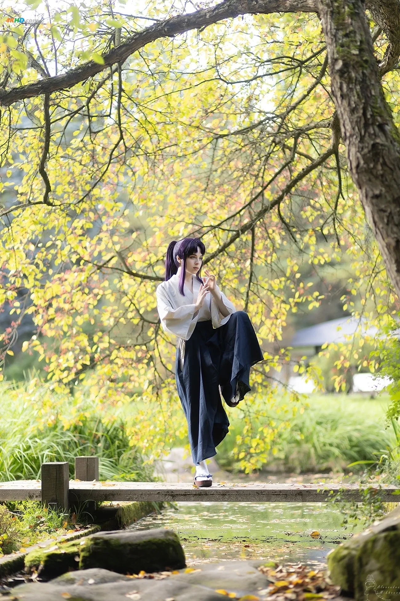 Antarsa Cosplay - Kamiya Kaoru — photo 1