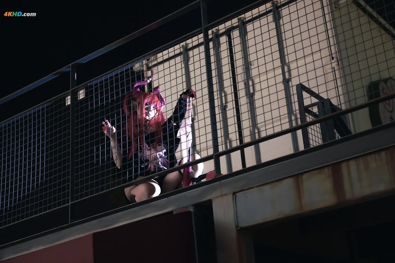 G44BuHuiShouShang fgo LongNiang Elizabeth Bathory — photo 7