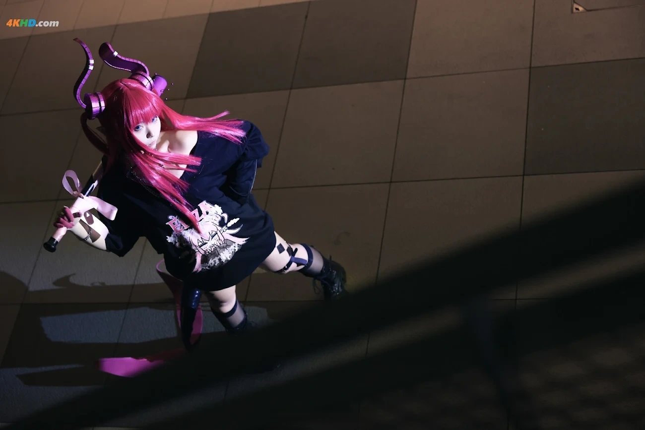 G44BuHuiShouShang fgo LongNiang Elizabeth Bathory — photo 8