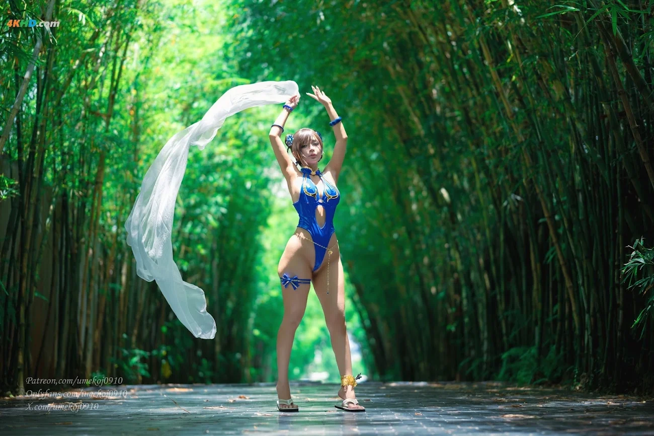 Umeko J Chun Li Outfit 4 — photo 84