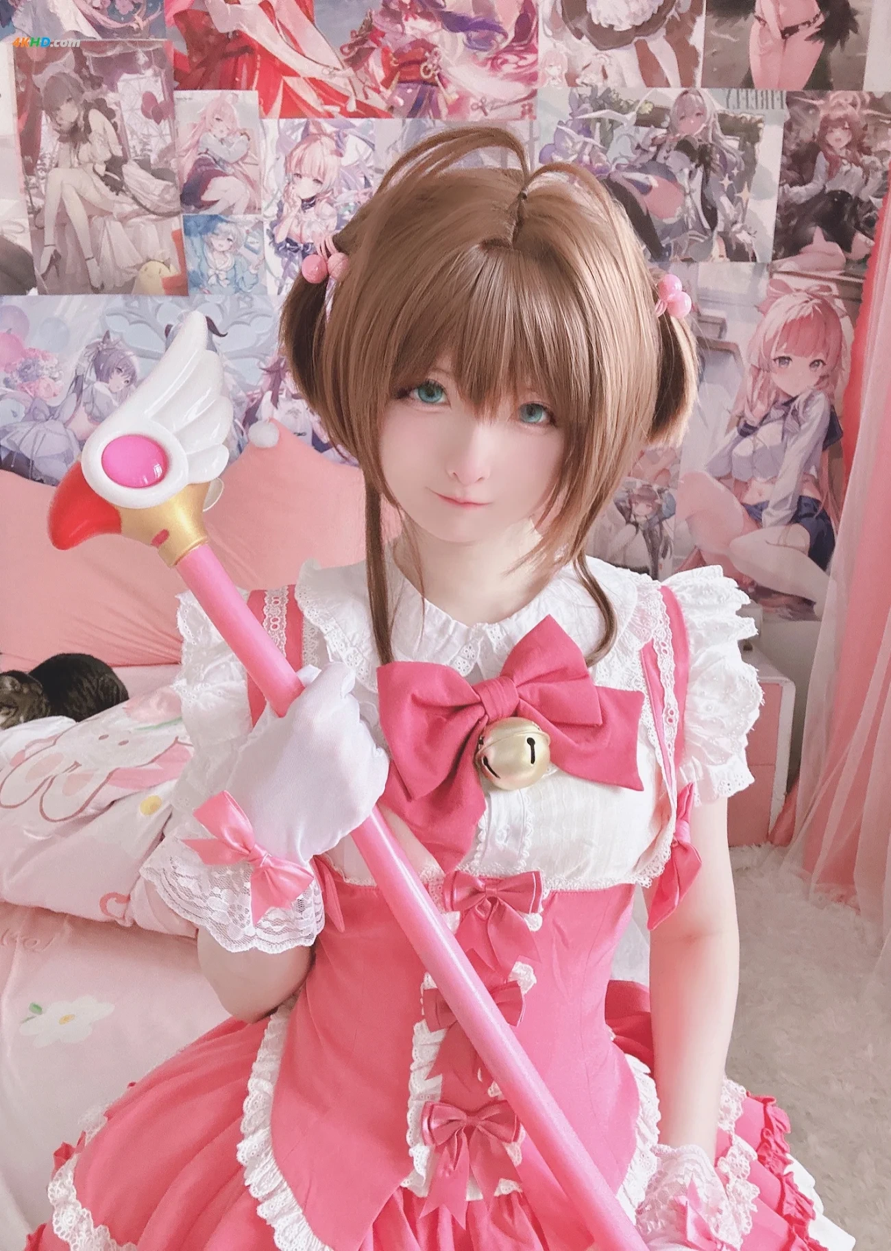 [(MisaDaiDai)] 2025.10.30 sakura — photo 3
