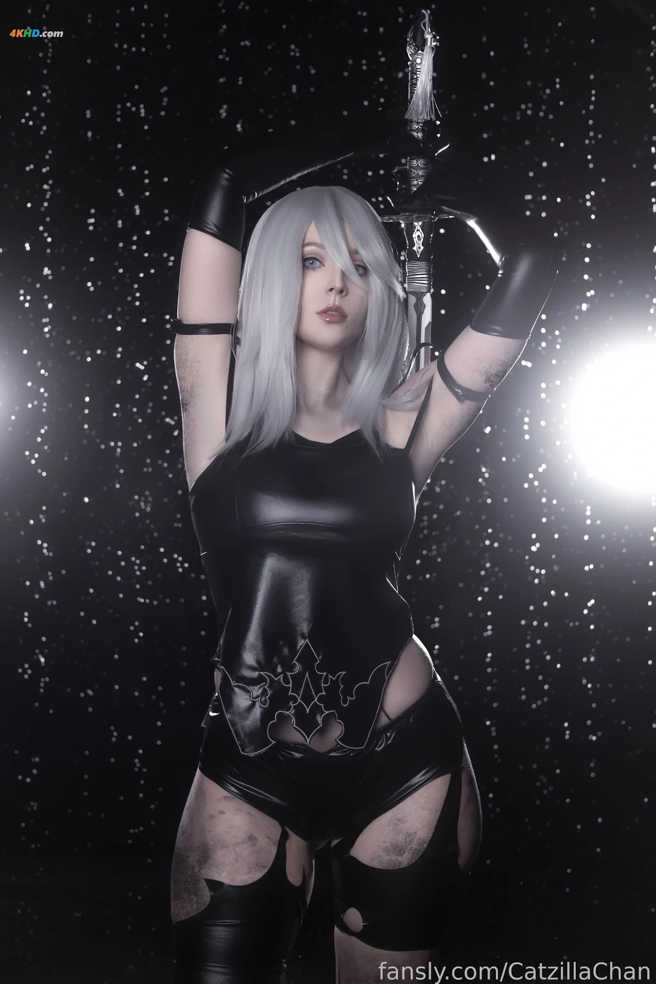 Catzilla - A2 — photo 3