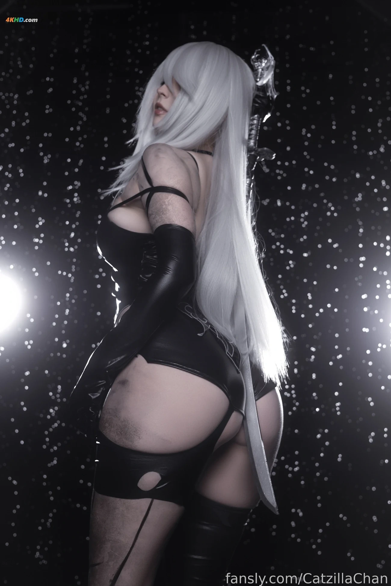 Catzilla - A2 — photo 4