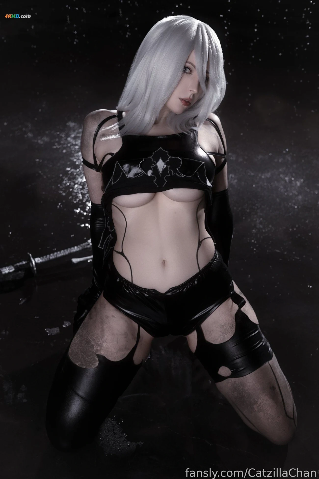 Catzilla - A2 — photo 12