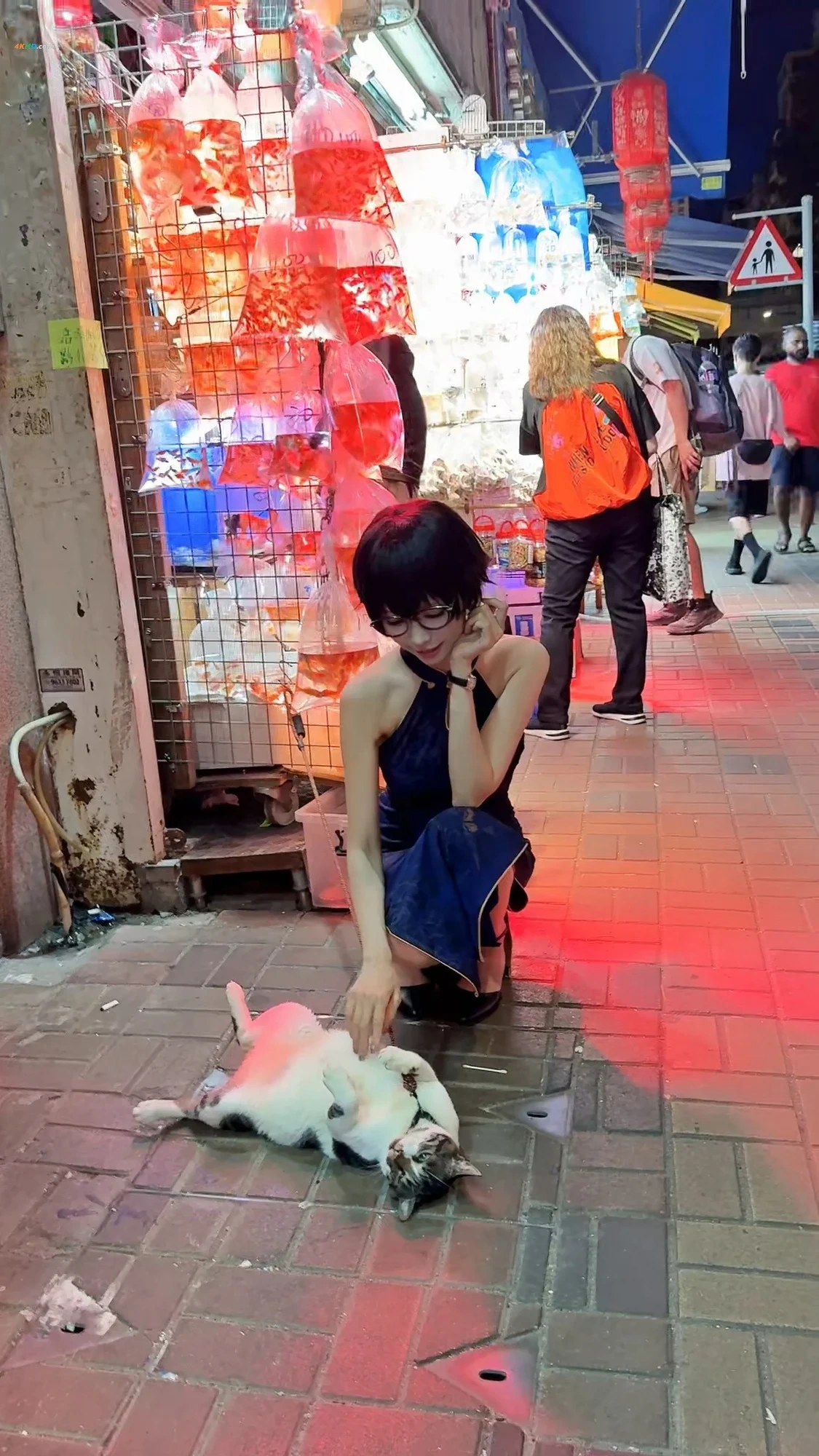 ElyEEZi 2025Nian10YueDingYue ZiPai — photo 7