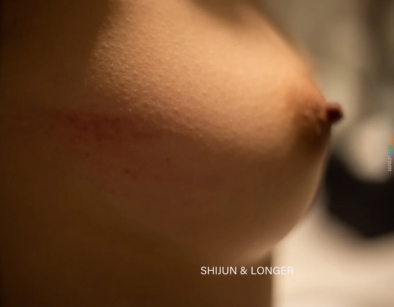 Shijun(GeBuLin) - DingJiYiShuYuQingSeJieHeShiTuHeJi — photo 535