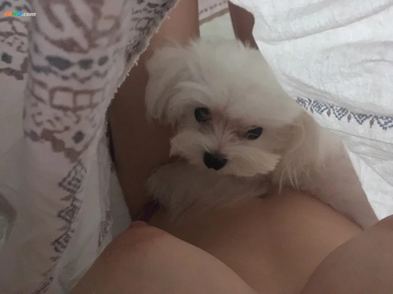 PabKon YuLa JonYe SeonHye,YaHyeJi VVIP — photo 3