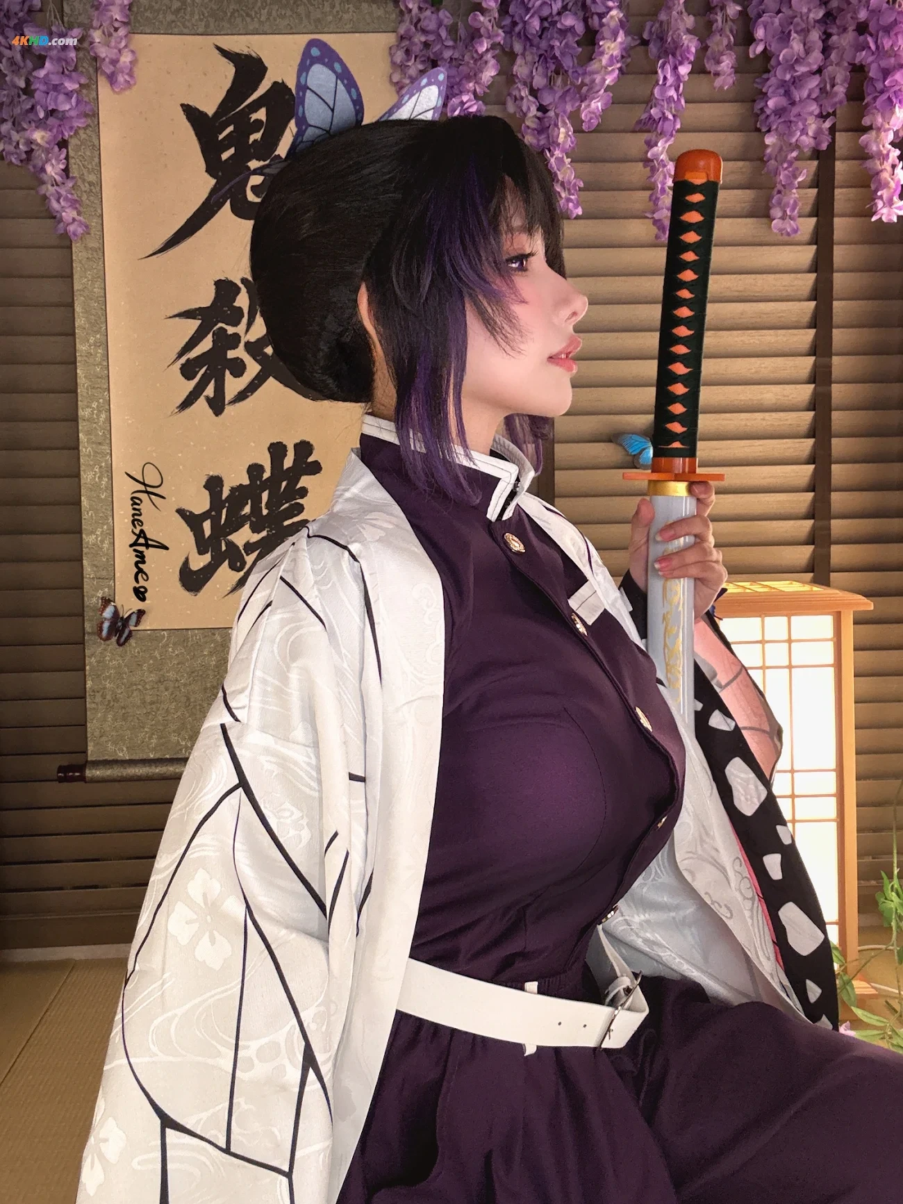 HaneAmeYuBo 2025Nian9YueDingYue GuiMieZhiRen HuDieRen — photo 23
